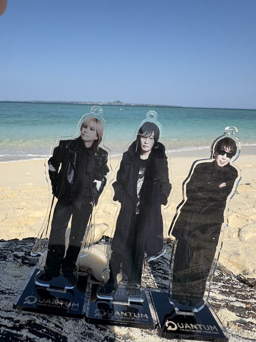 みぃ(•Ӫ•) 🌟FANKS🌎 (@m_michiy) / Posts / X