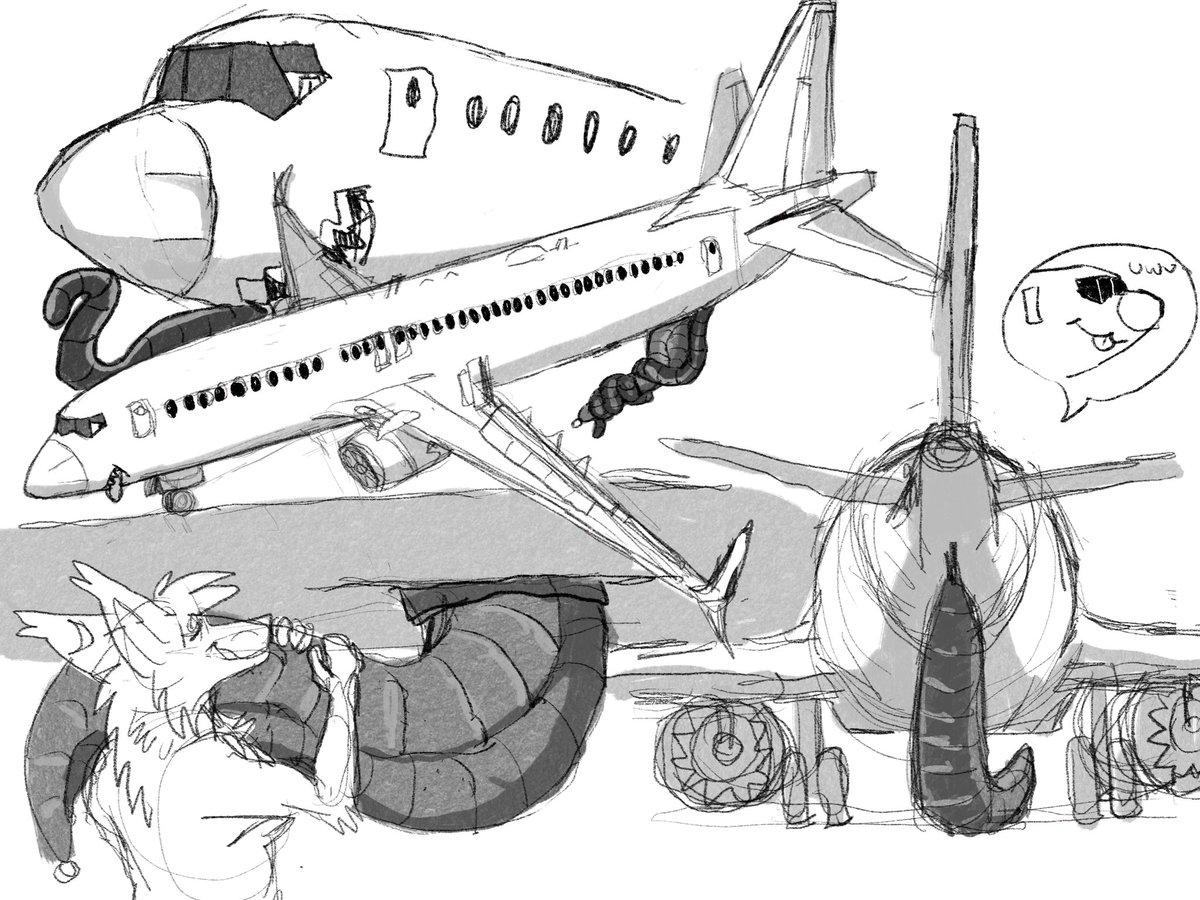 boat dog 🔞 tweet media