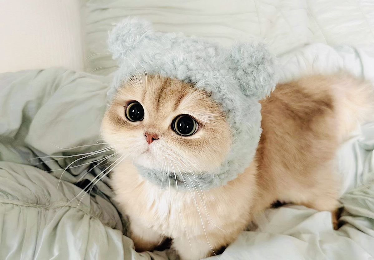 saehorse's tweet image. ⓘ Help Retweet? Timakacii !👩🏻‍✈️♡

✈️ ⑅ ◎ haloouu . . aku bawain 3 sticker pack ready stock, 1 pack isi 8 sticker ! ๑ 👩‍✈️ bisa retext n recol font :¨·.·¨: 🧰 💬 

​          ♡ ꒰   #zonauang   ׂ꒱ ♡