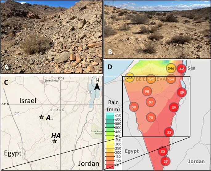 levintal_lab's tweet photo. A new article in collaboration with Dr. Kamennaya explaining the recurring coexistence of cyanobacteria and algae in desert soils:  https://t.co/m4Rm7Iy7Ns
The incubation chambers  from earlier work were used to generate some results for this article.(https://t.co/O5L3pox50U) https://t.co/yLA0EACM9w