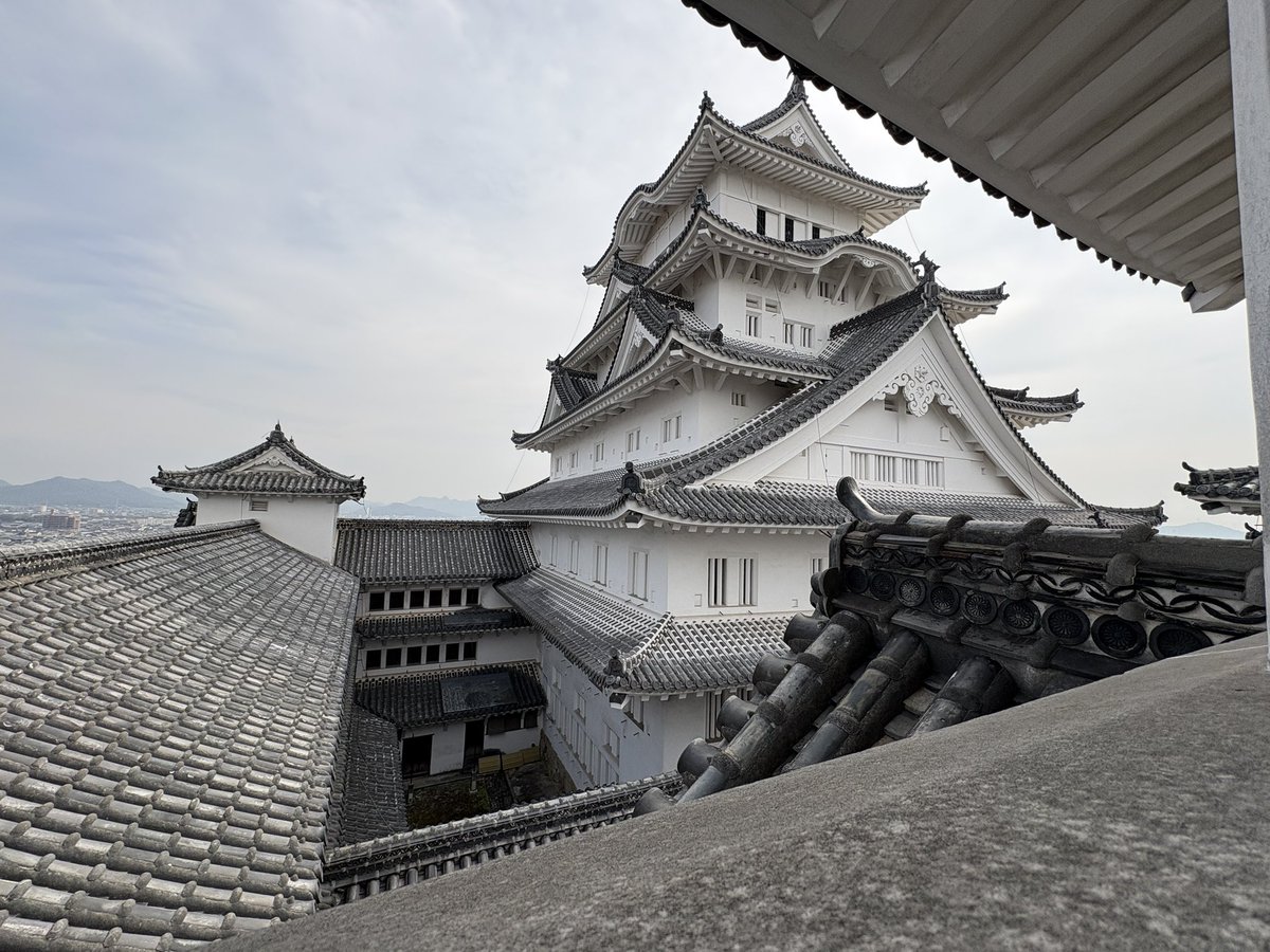 怒涛の下見シリーズも今日が最終日。
姫路のホテル周辺リサーチの後はやっぱり姫路城よね🎵と行ったら、
初公開 姫路城 全小天守 特別公開
てのをやっていて勿論行きました✨
普段見られないアングルでメインの天守が見れて楽しんできました。