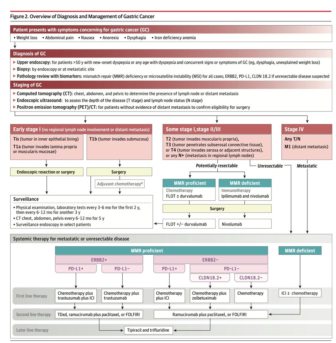 sepdigestiva's tweet photo. Cácer gástrico, la última revisión, en JAMA (2026). Puntos clave:

🟢 Indicar endoscopia en dispepsia >50 años o síntomas de alarma; aunque cada vez es más frecuente aún en <50 años. 

🟢 Biomarcadores: buscar HER2, PD-L1, CLDN18.2 y MMR. Estos definen terapias dirigidas (ej. Zolbetuximab si CLDN18.2+, Trastuzumab si HER2+).

🟢 Manejo Perioperatorio: El esquema FLOT es estándar en estadio II/III. En deficiencia de MMR (dMMR), se sugiere inmunoterapia neoadyuvante

🟢 Estadificación: Laparoscopia diagnóstica con lavado es mandatoria pre-resección curativa; TC y PET tienen baja sensibilidad para metástasis peritoneales.

🟢 Pronóstico: Supervivencia a 5 años <10% en metastásico. La 1ª línea es Quimio + Inmunoterapia/Target según perfil molecular (ej. Nivolumab)

rt @LuisOliverio