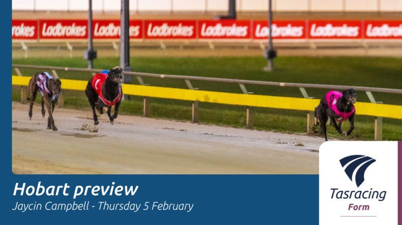 Tasracing Australia tweet media