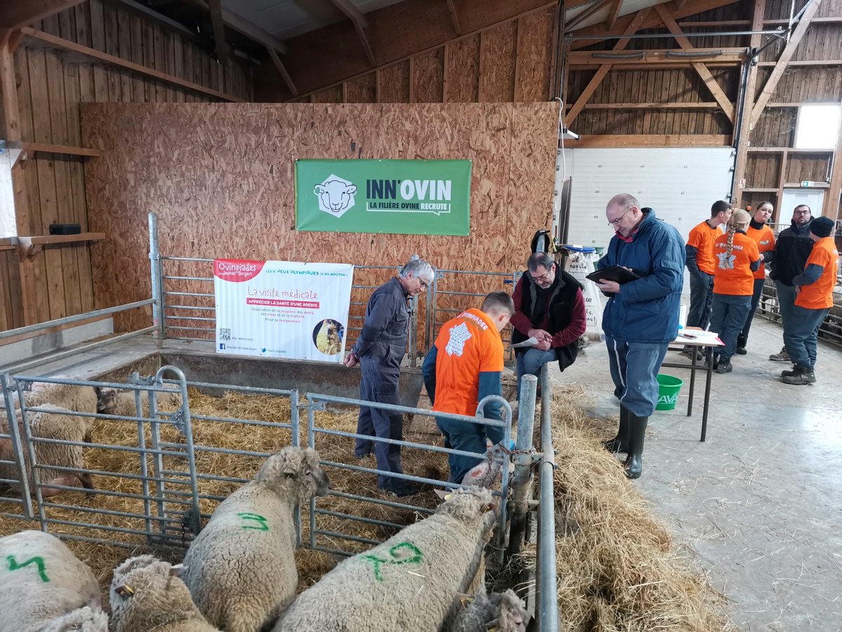 Inn'Ovin tweet media