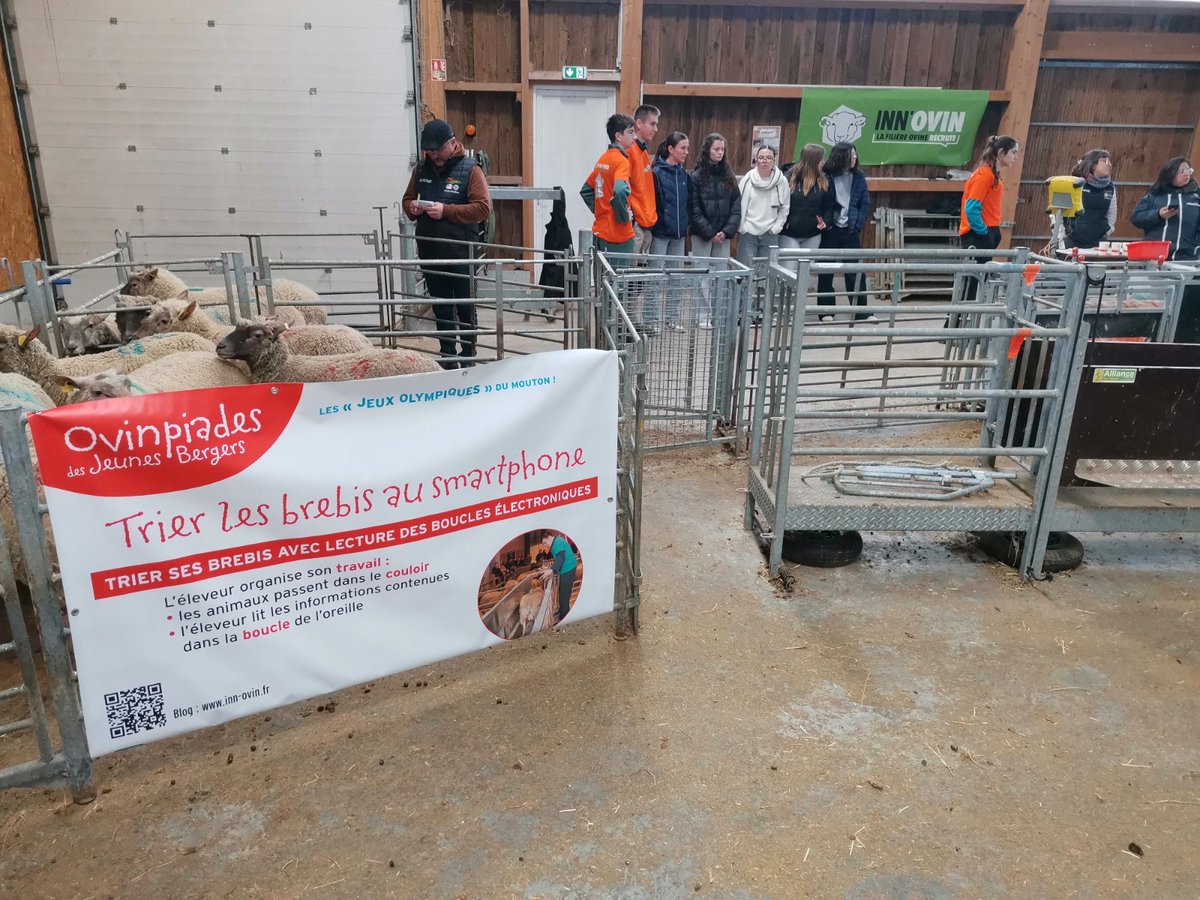 Inn'Ovin tweet media