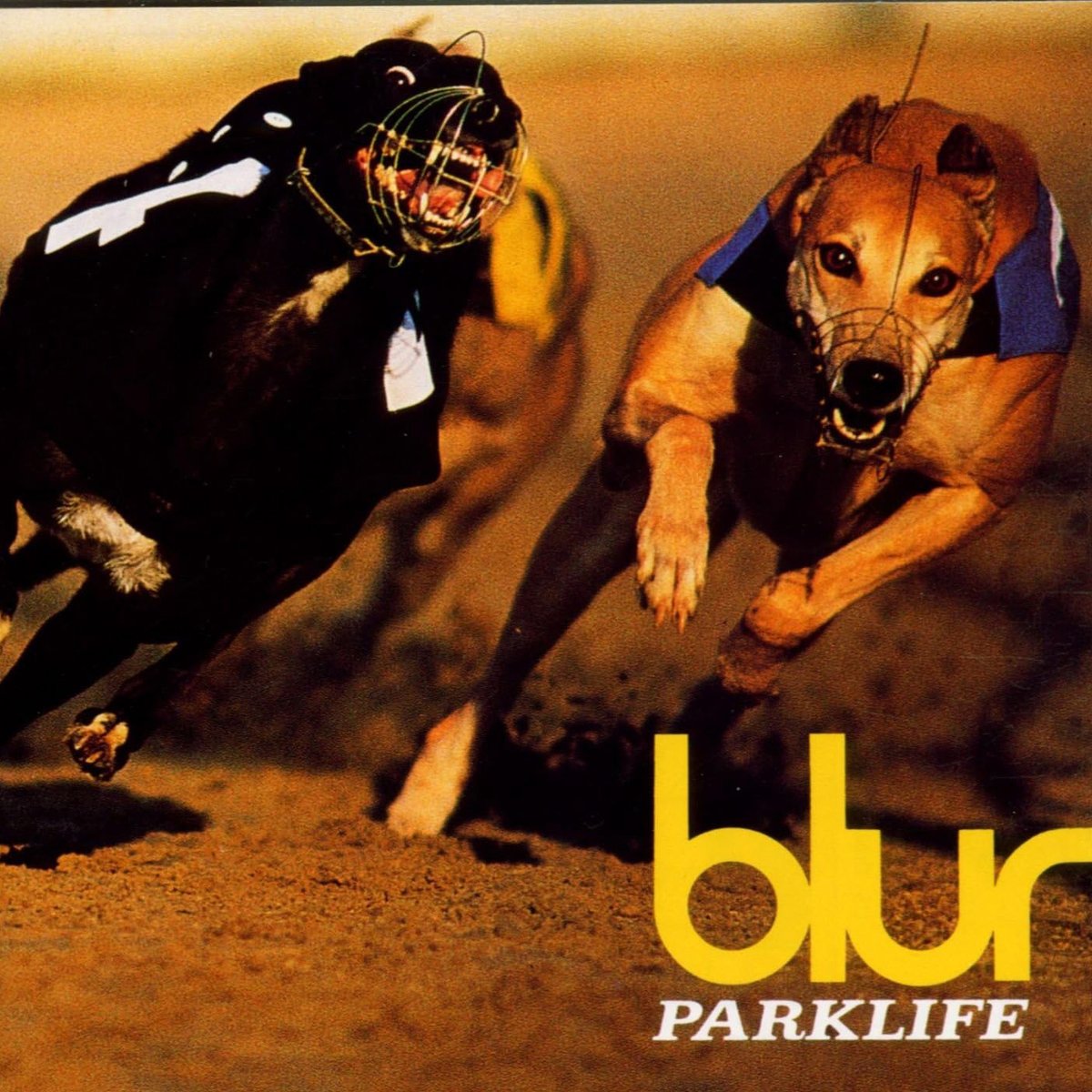MusicIconsUk's tweet photo. Bobble Hat Weather is here ❄️   

The Parklife Bobble Hat, inspired by the Jacket Damon wore in the Blur Parklife video       

Get 30% Off in our Winter Sale  

https://t.co/5OfflW4sB2 

#Britpop #Indie #Blur #Parklife #90s https://t.co/MxkEeSdcSJ
