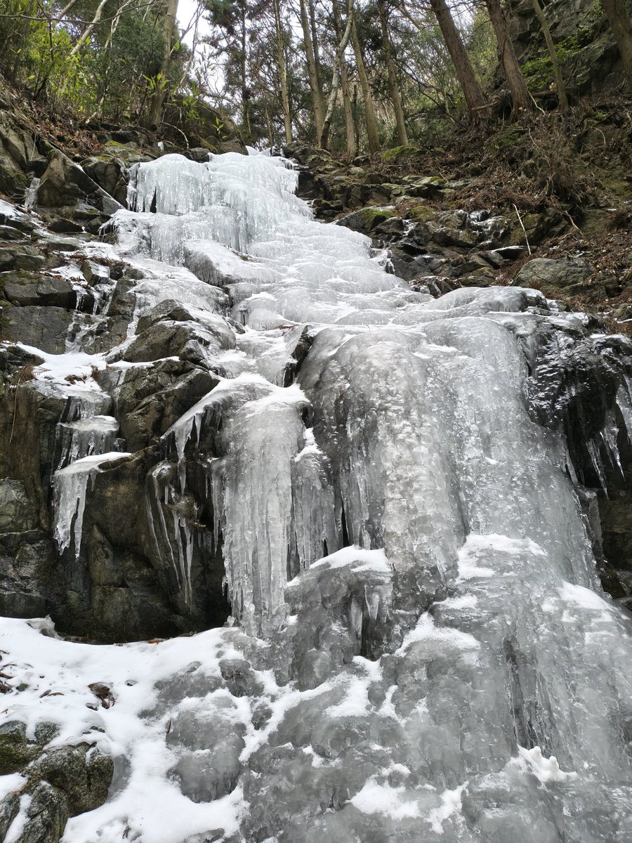 tekarii's tweet photo. 金剛山のツツジオ谷を登ってきました。氷瀑の水量は少ないですがしっかり凍っていて近づくと凄い！ https://t.co/WBksi28MuM