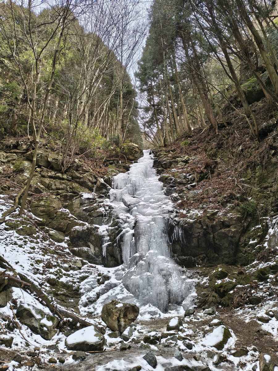 tekarii's tweet photo. 金剛山のツツジオ谷を登ってきました。氷瀑の水量は少ないですがしっかり凍っていて近づくと凄い！ https://t.co/WBksi28MuM