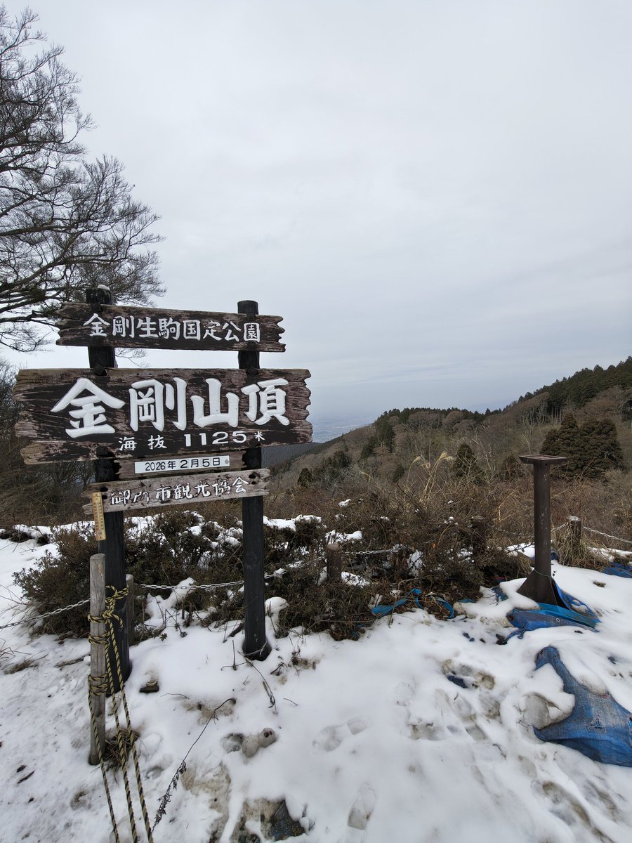tekarii's tweet photo. 金剛山のツツジオ谷を登ってきました。氷瀑の水量は少ないですがしっかり凍っていて近づくと凄い！ https://t.co/WBksi28MuM