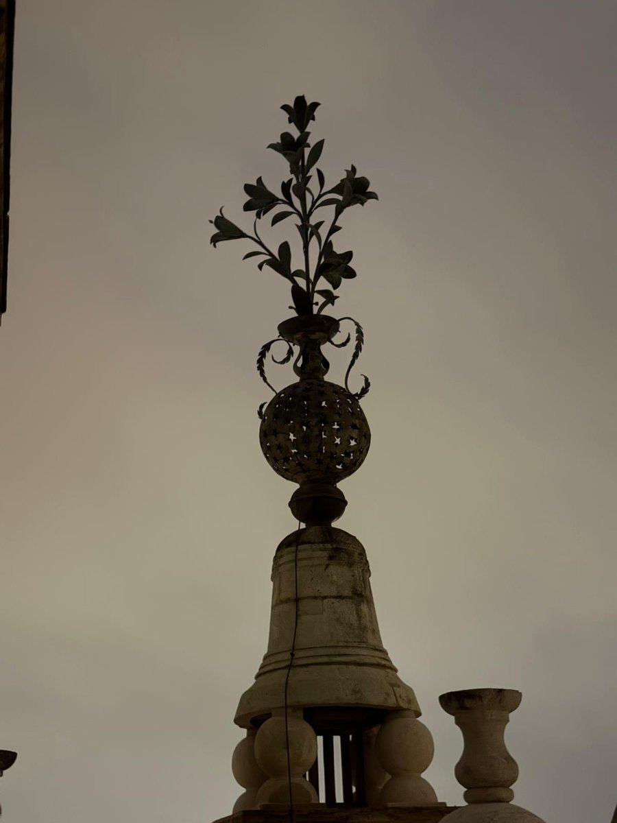 Catedral de Sevilla Oficial tweet media