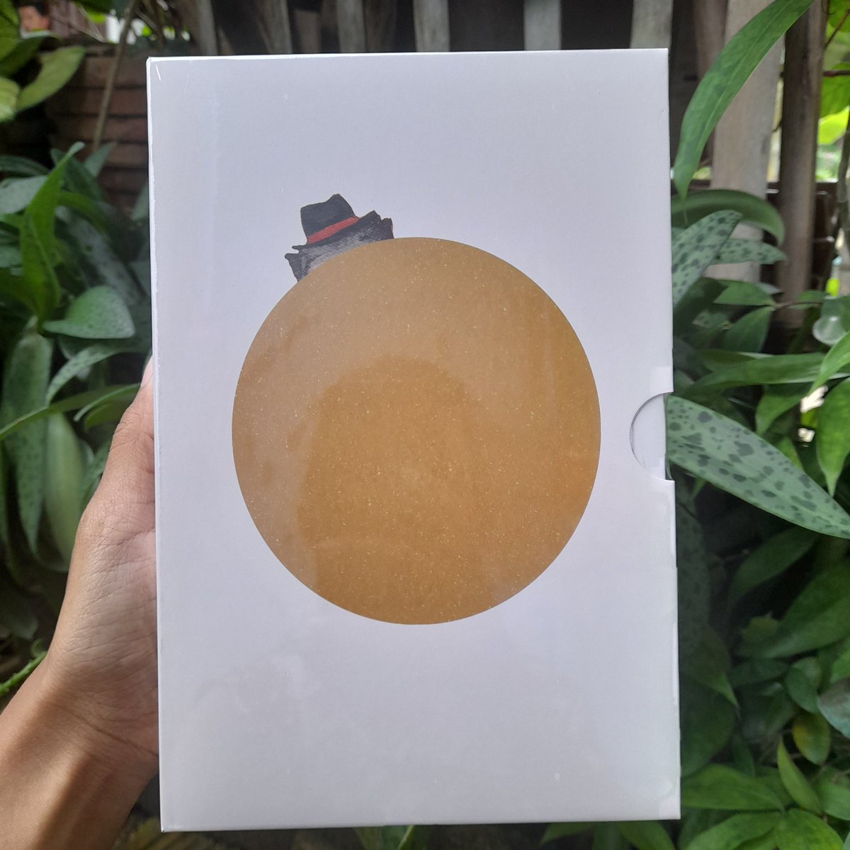 🍉🥭 tweet media