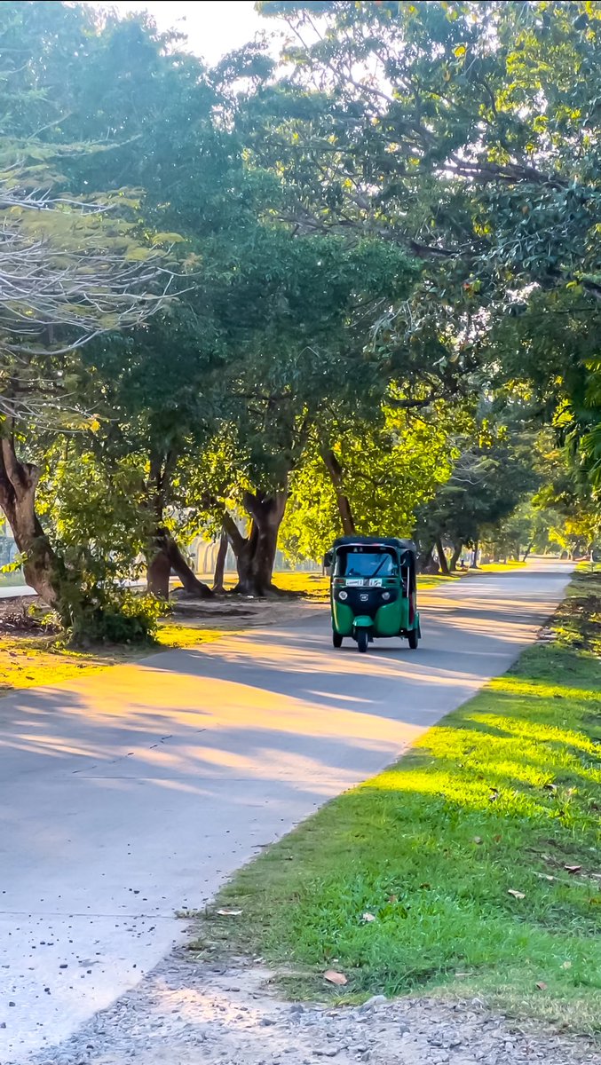 thanzeena's tweet photo. Tuk tuks of Srilanka https://t.co/QJfZjpbRs0