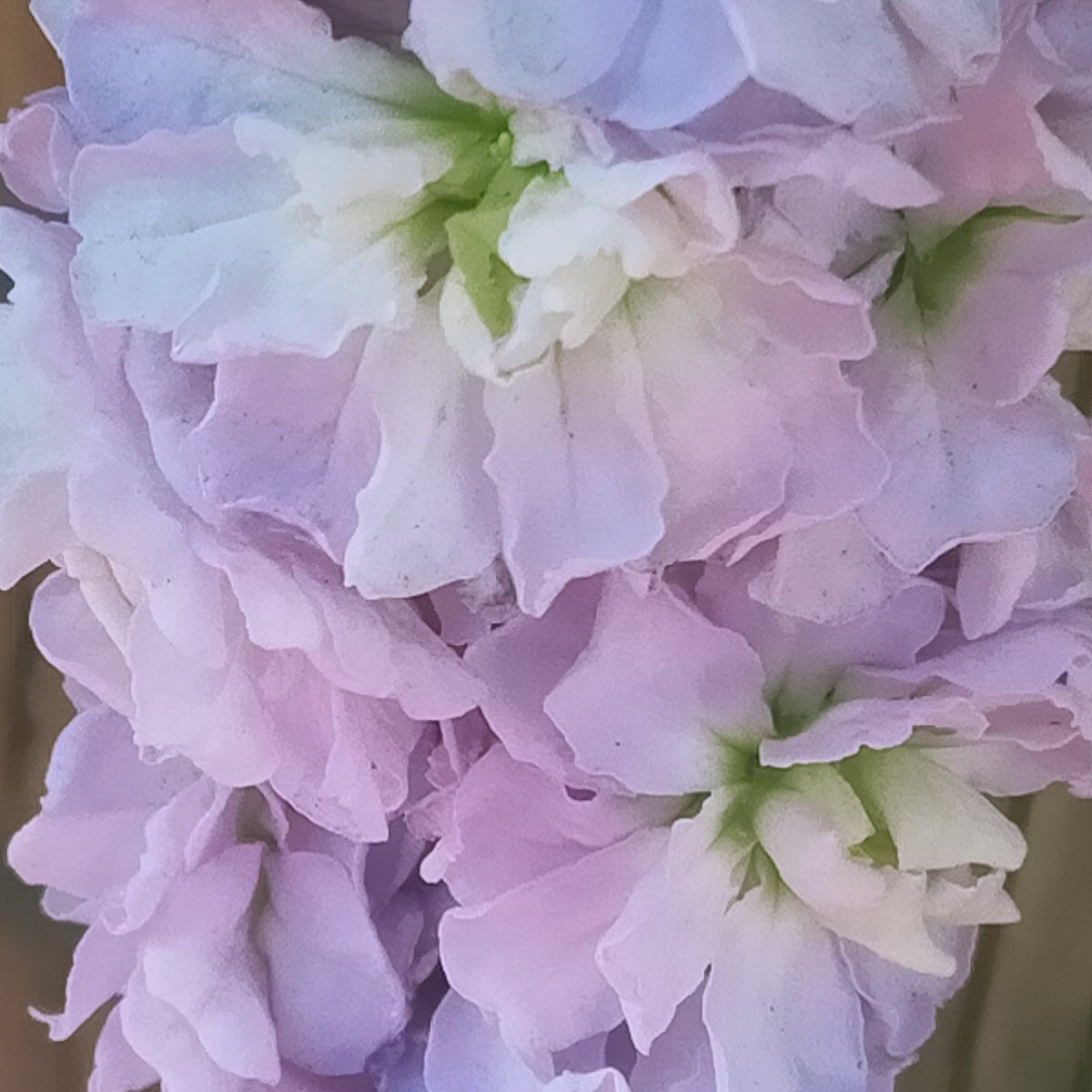 晩酌 銀紋からのお知らせ🏮
2月5日(木)本日18時開店23時半ラストオーダーです。
甘辛スパイシーな手羽中唐揚げや冬野菜天盛り合わせで1杯いかが🍶🍻
ご来店お待ちしております🙇