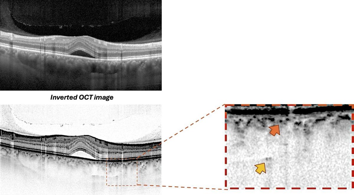 Eye Journal tweet media
