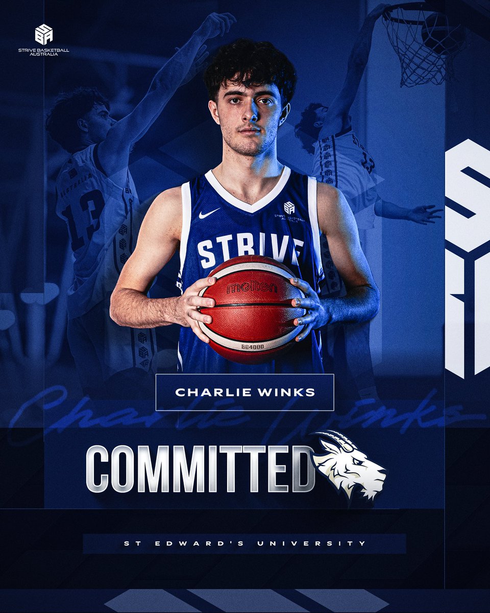 Strive Basketball Australia tweet media