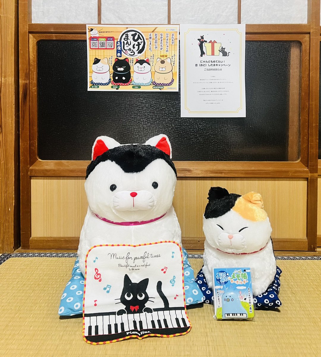 報告ありがとうですニャ～！ にゃんと！正座ひげまんじゅうセンパイに