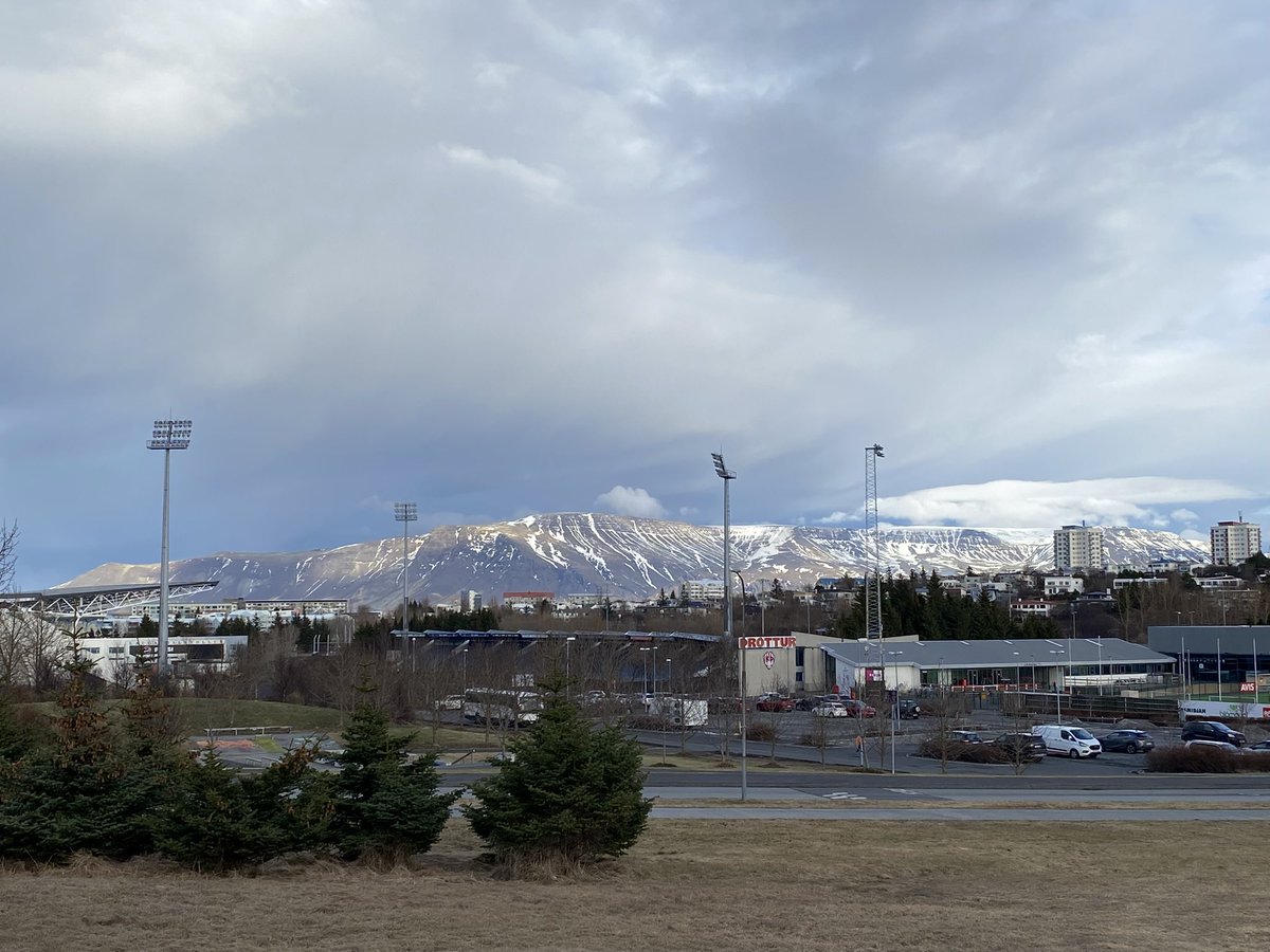 Tim Mole tweet media