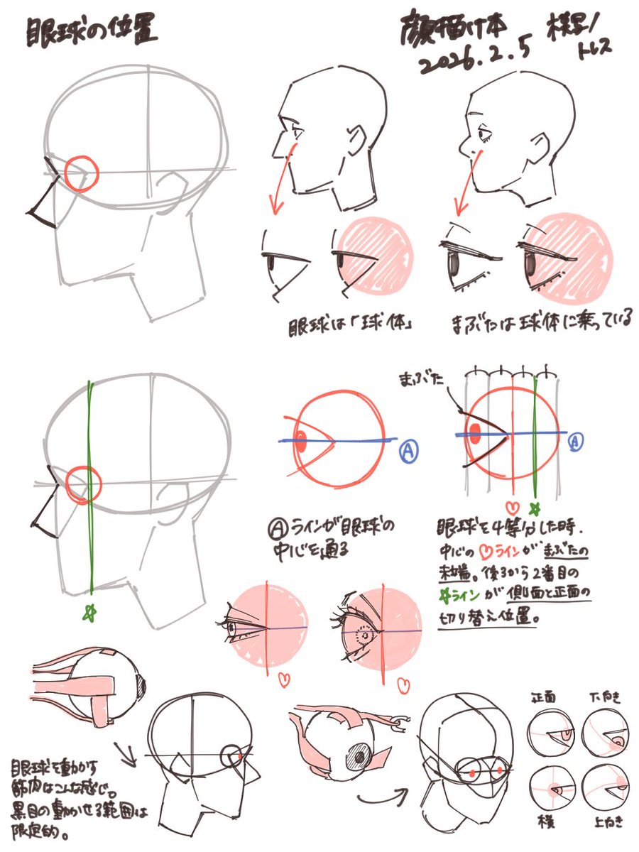 顔描け本続き。目が球体なのはしっていても、いざ描くとなるとその意識が飛んでしまうな。
#顔描け本