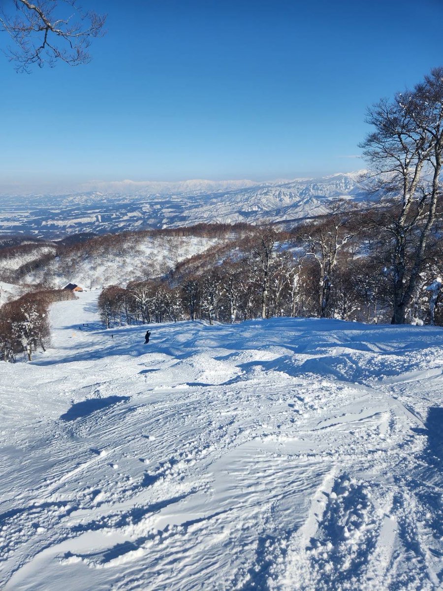 野沢温泉スキー場　☆ナスキー☆ tweet media