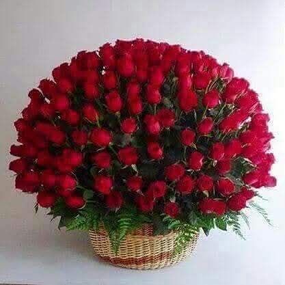 SanatkumarJC2's tweet photo. @juniorbachchan Wish you happy #Birthday wish you many many returns of the day 🎂 https://t.co/I9rPunCRwe