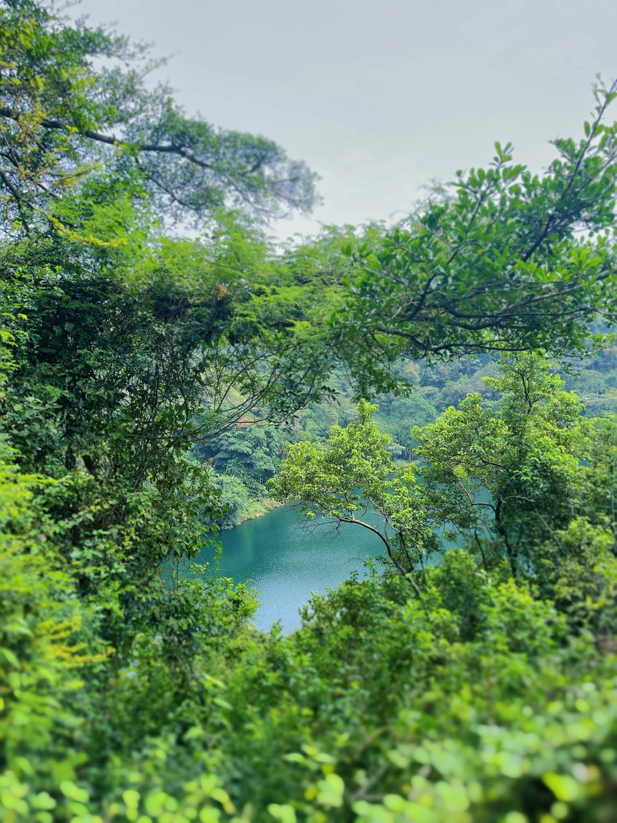 DrQhaqhitah's tweet photo. Fort Portal, You're Unreal!🌿🐾
#FortPortal #TourismCity #ExploreUganda 
📷 @remedyhub_ https://t.co/rkpHWIoqfC