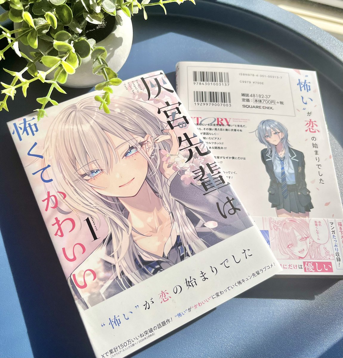 灰宮先輩は怖くてかわいい 1巻も素敵に仕上げて頂きました…！ 明日発売