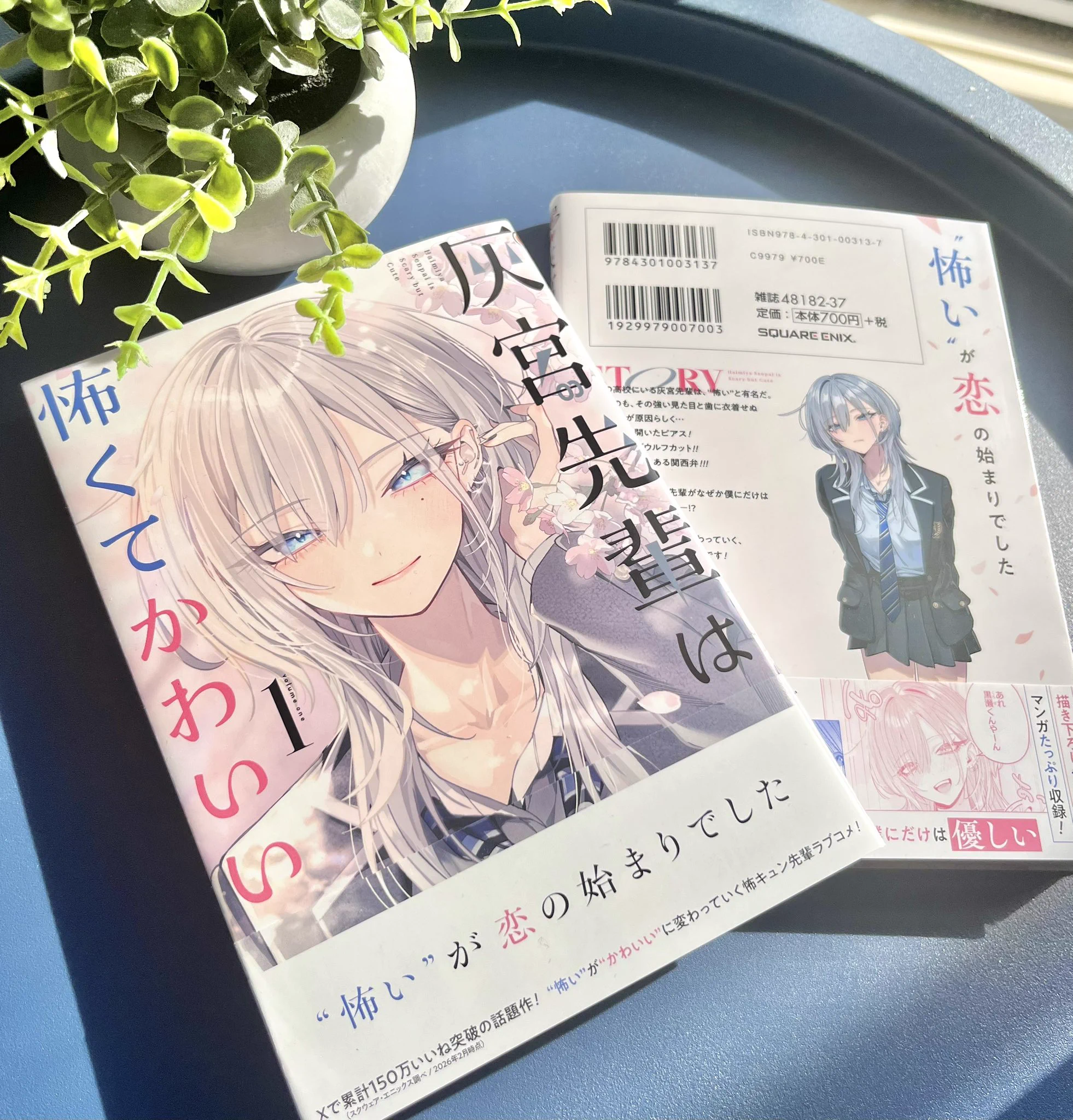 神山すむ🐺 on X: 