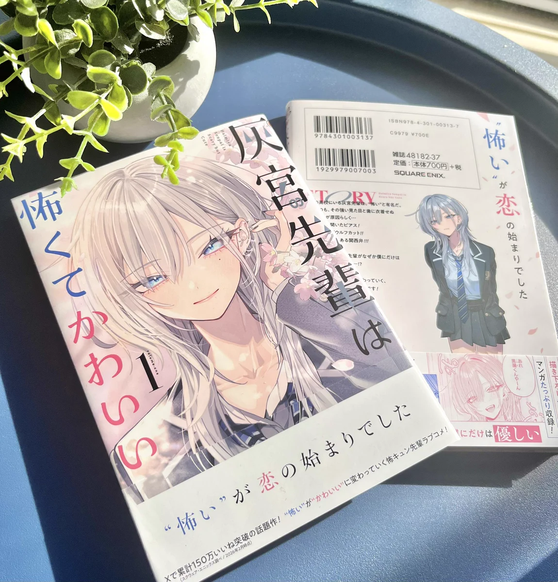 神山すむ🐺 on X: 