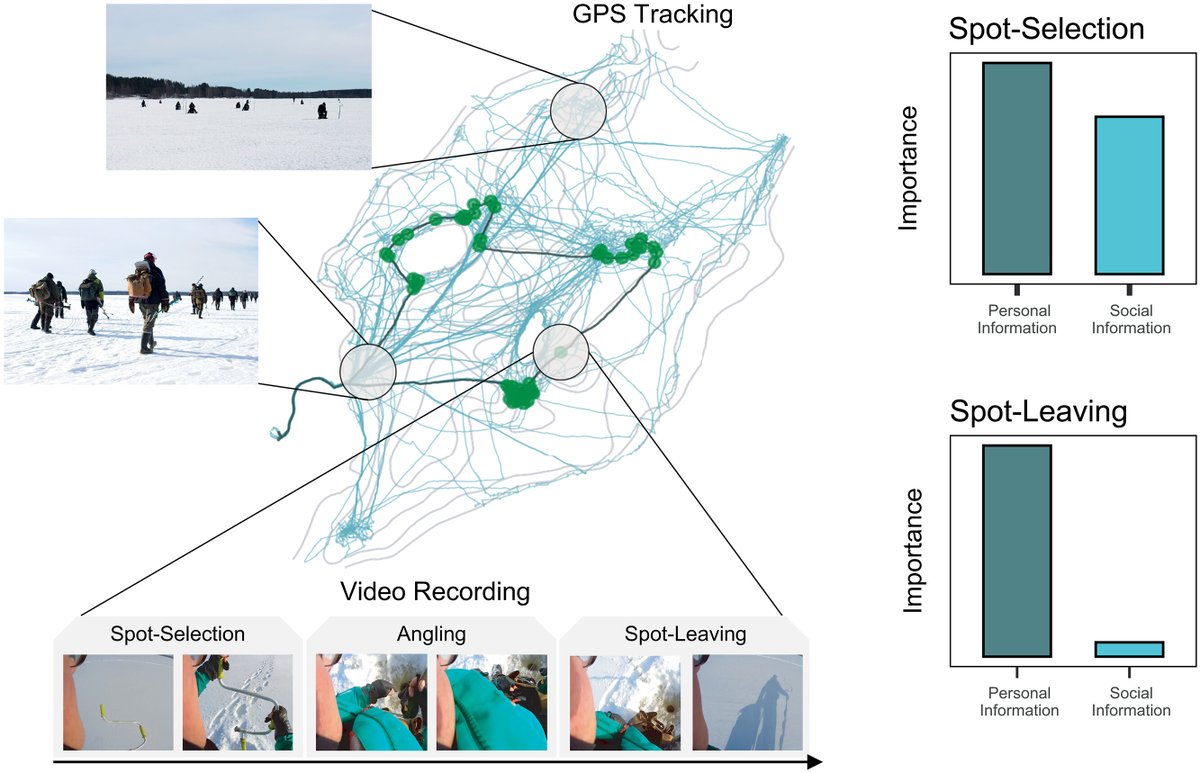 ScienceMagazine's tweet photo. By tracking anglers during real-world ice fishing competitions in Finland, a new study in Science shows that human foragers—previously thought to be solitary decision makers—rely heavily on social information in shaping decisions.

Learn more: https://t.co/y2aVA5wNKM https://t.co/5XhXwBAjtq