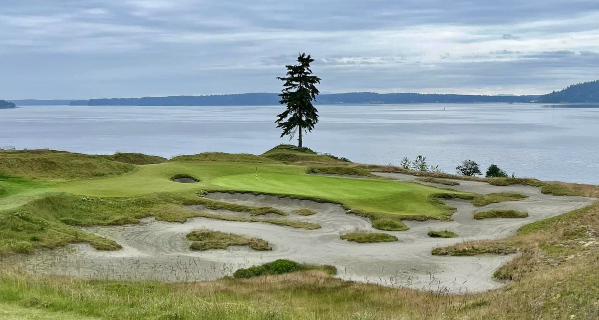 Great Golf Holes ⛳️ tweet media
