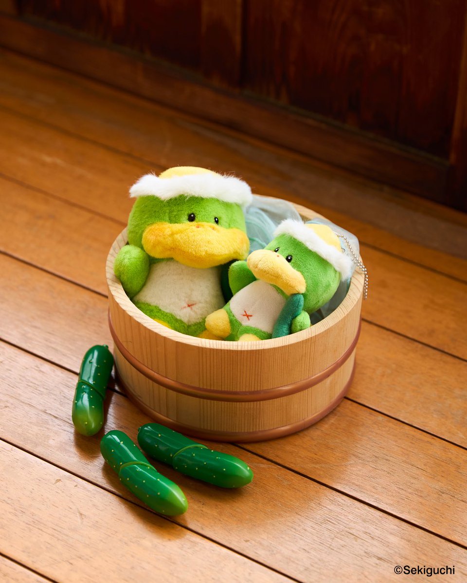 セキグチ公式オンラインショップ (@sekiguchi1918) / Posts / X