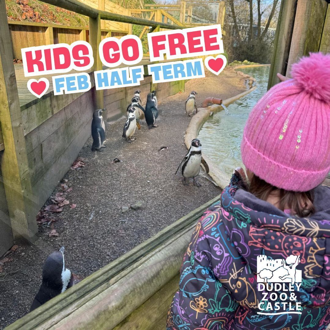 Dudley Zoo tweet media