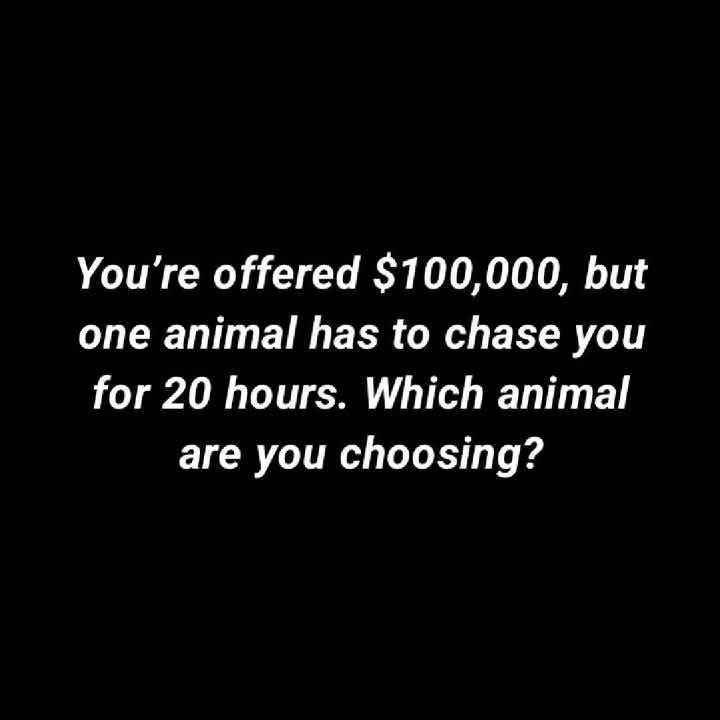 Littlewisehen tweet media