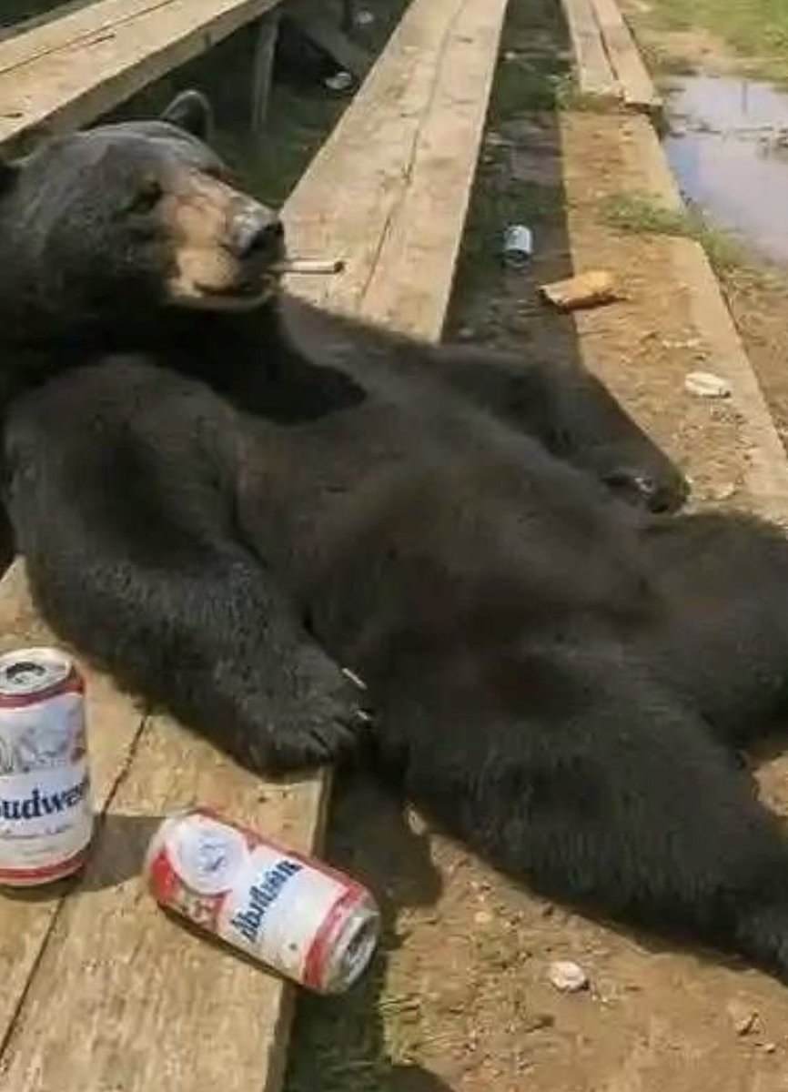 NEET CHUD tweet media