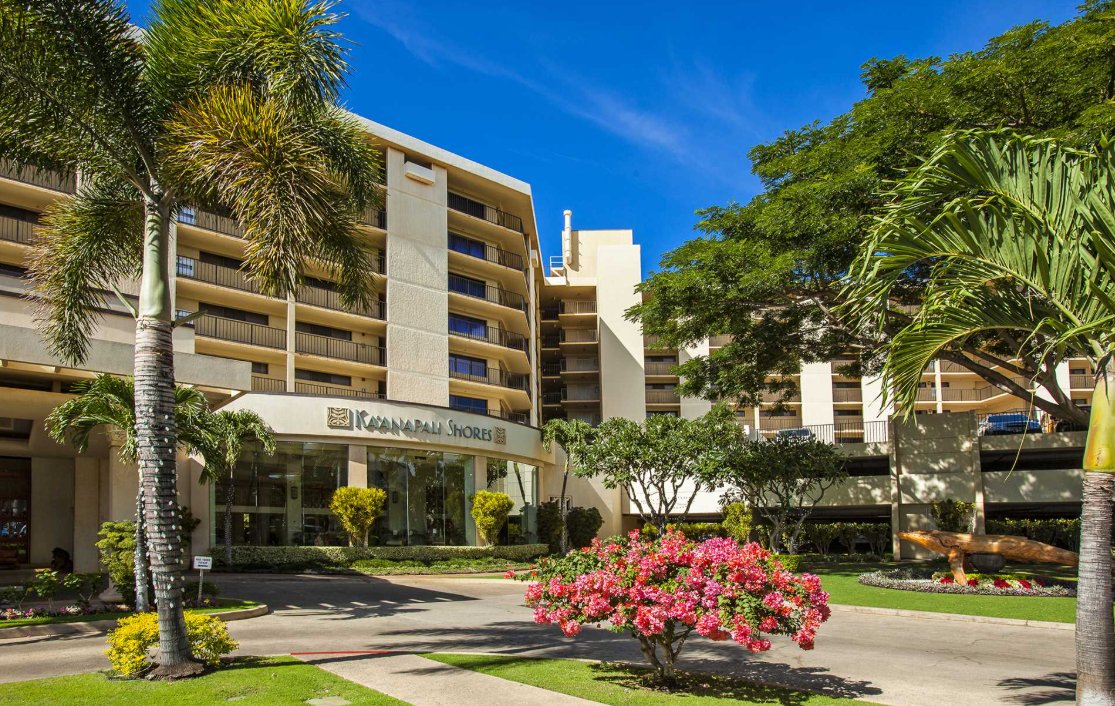 🌊 Maui escape at Ka’anapali Shores – Unit 734 🌺
7th-floor oceanfront studio w/ central AC, large lanai &amp; stunning sunset views. 🐋 (Whales Nov–Apr!)
Beach access, pools, hot tubs, gym, EV charging ⚡
mauivision.com/vrp/rentals/pr…