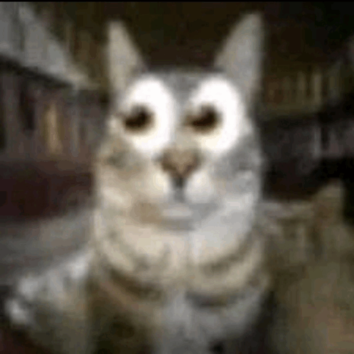 Leí muy rápido el tercer punto y pensé que decía "Perdí a mis viejos por el camino".
Se había puesto turbia la cosa.