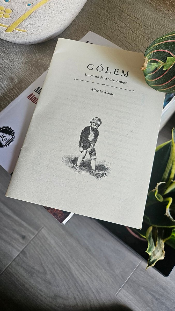 La Magnífica tweet media