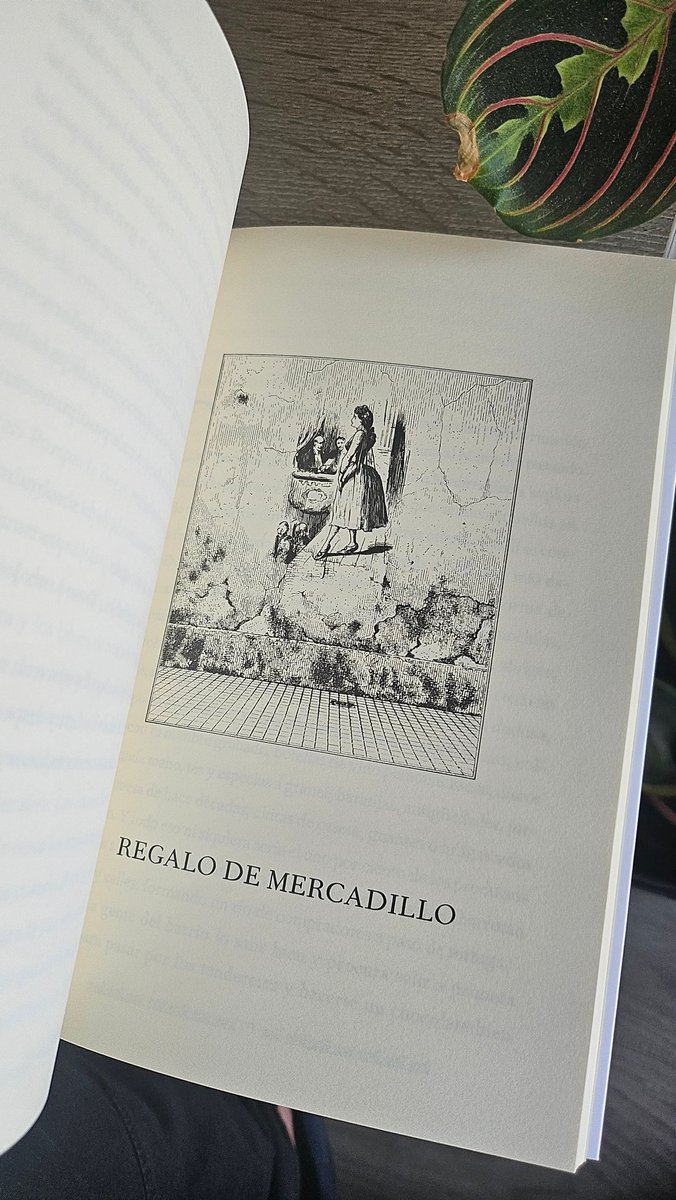 Ya nos ha llegado LA ESTRELLA CAE. LA TIERRA LLORA, de Alfredo Álamo. Y es todavía más bonita de lo que pensábamos. magnificaeditorial.com/libros/la-estr…