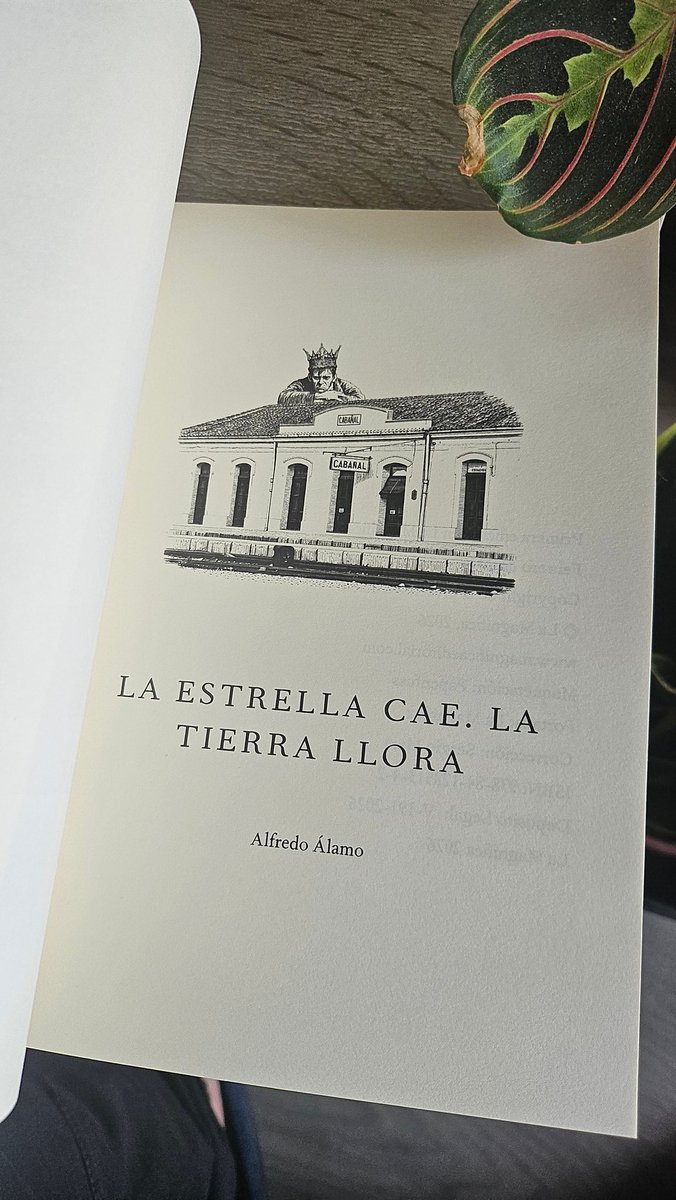 La Magnífica tweet media