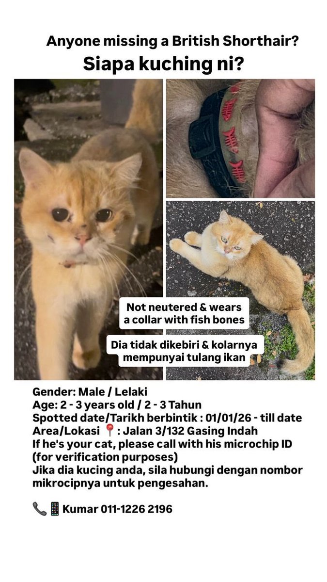 Tashny Sukumaran tweet media