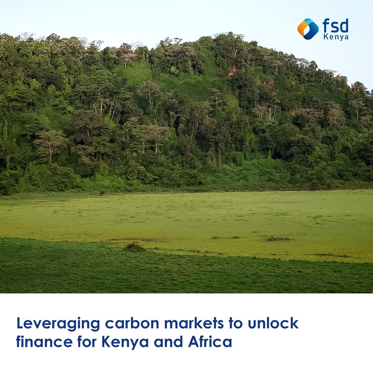 FSD Kenya tweet media