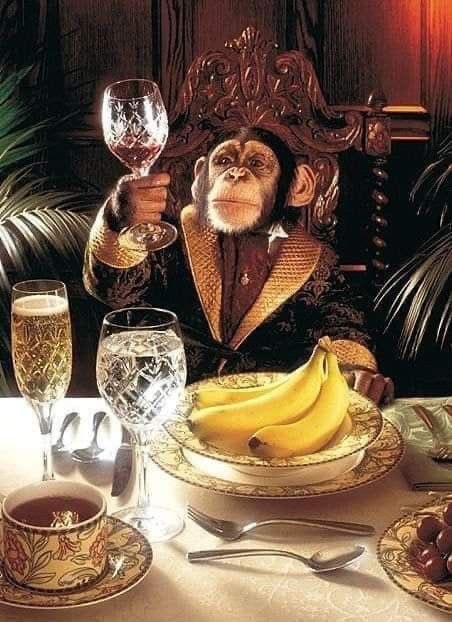 The era of the frog is over. 

The era of the dog is barking up the wrong tree.

2026 belongs to the primates and the $MONKI business.🐵

High conviction, high potassium, higher targets.

Ape in or get left at the zoo.

G5YdwbcsDdkpbenp4qVgGskYacofB9L627SHVr8Upump