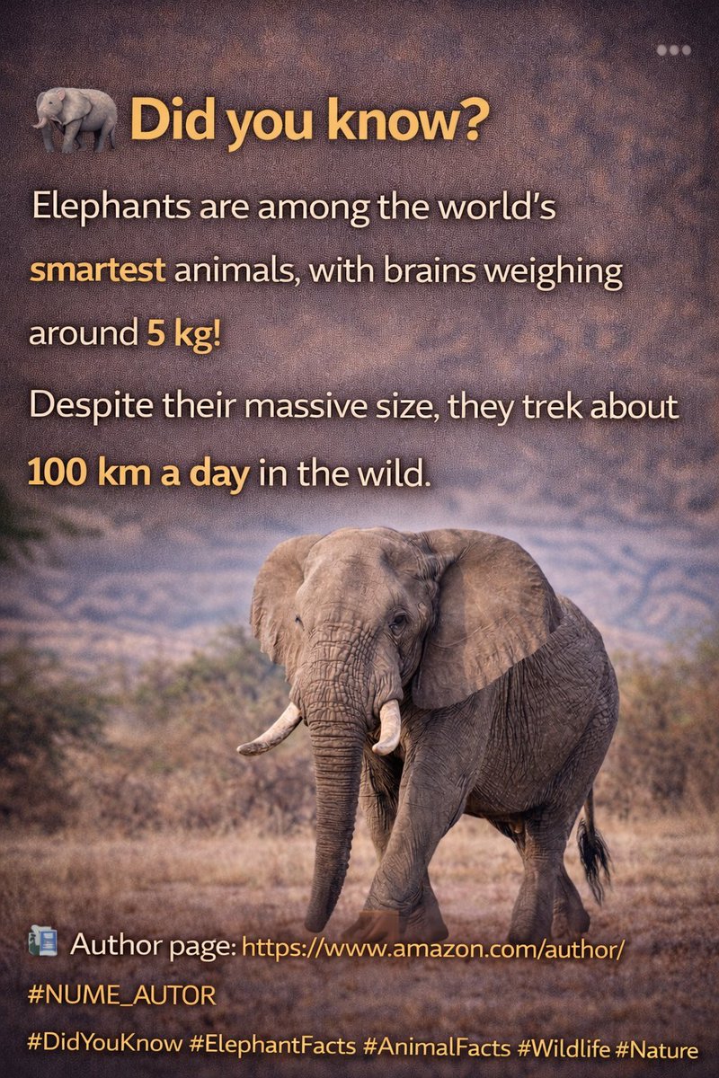 OurWorldBooks's tweet photo. 📚 Author page: https://t.co/WZAXZpBa73�
#DidYouKnow #ElephantFacts #AnimalFacts #Wildlife #NatureLovers #FunFacts #EducationalContent https://t.co/8OKphKU4L9