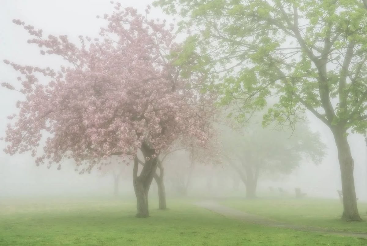 dreamyyarchive's tweet image. 