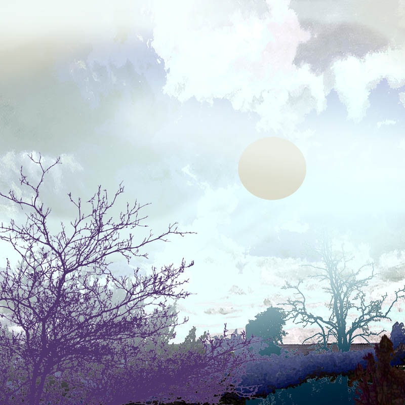 Ruth McDonald tweet media