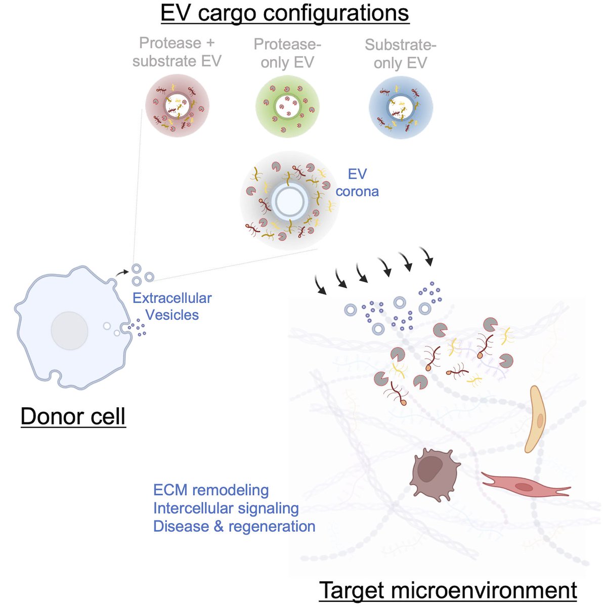 eMatrix_GENYO tweet media