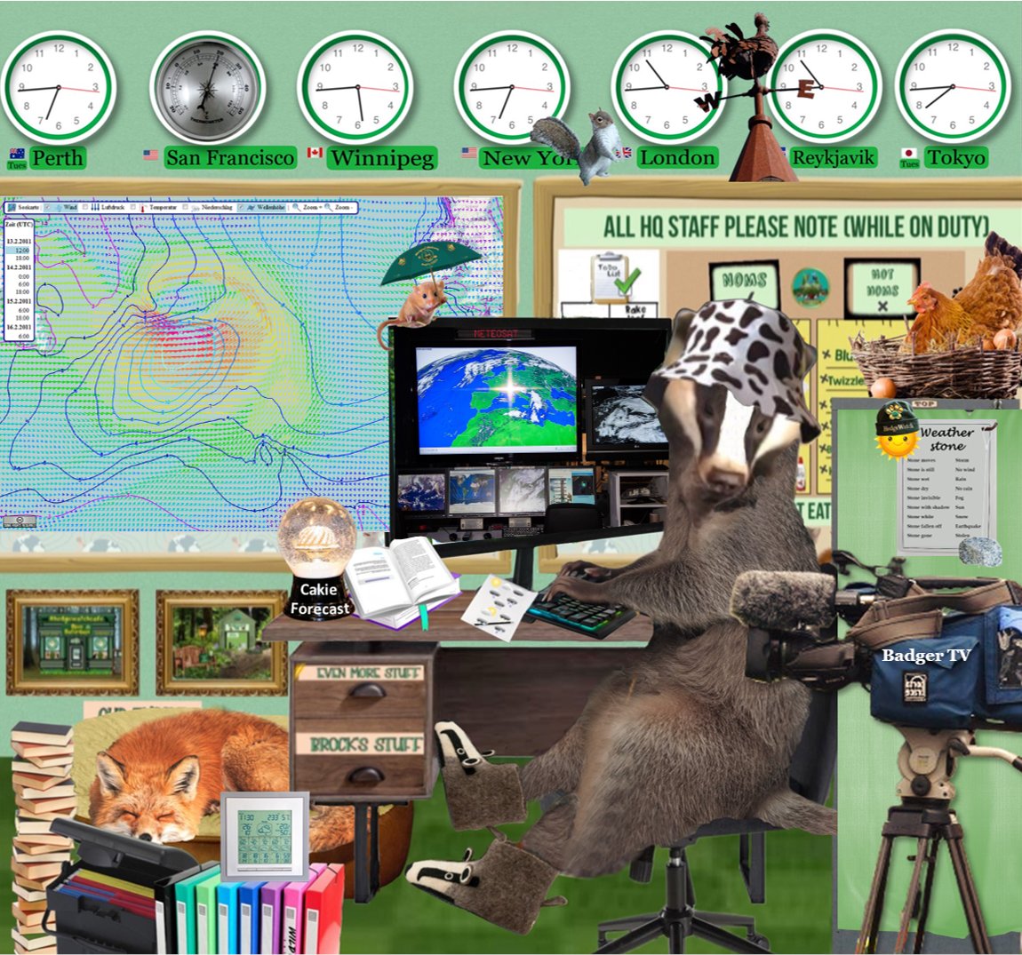 Hedgewatchers's tweet photo. Quick! Look out the window &amp; see what the weather is like! Go on! Is it doing what the weatherperson said it would? 
It's National Weatherperson Day &amp; we know there are a lot of #weathercats, too. We'd love to hear your report from around the globe for Badger TV🌧️☀️
#Hedgewatch https://t.co/iUceK0o0Yr