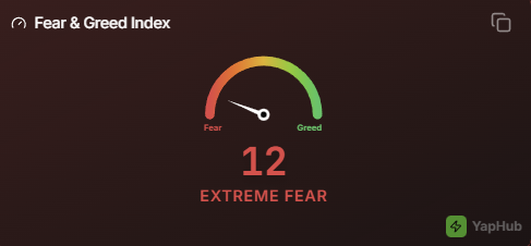 MSB Intel tweet media