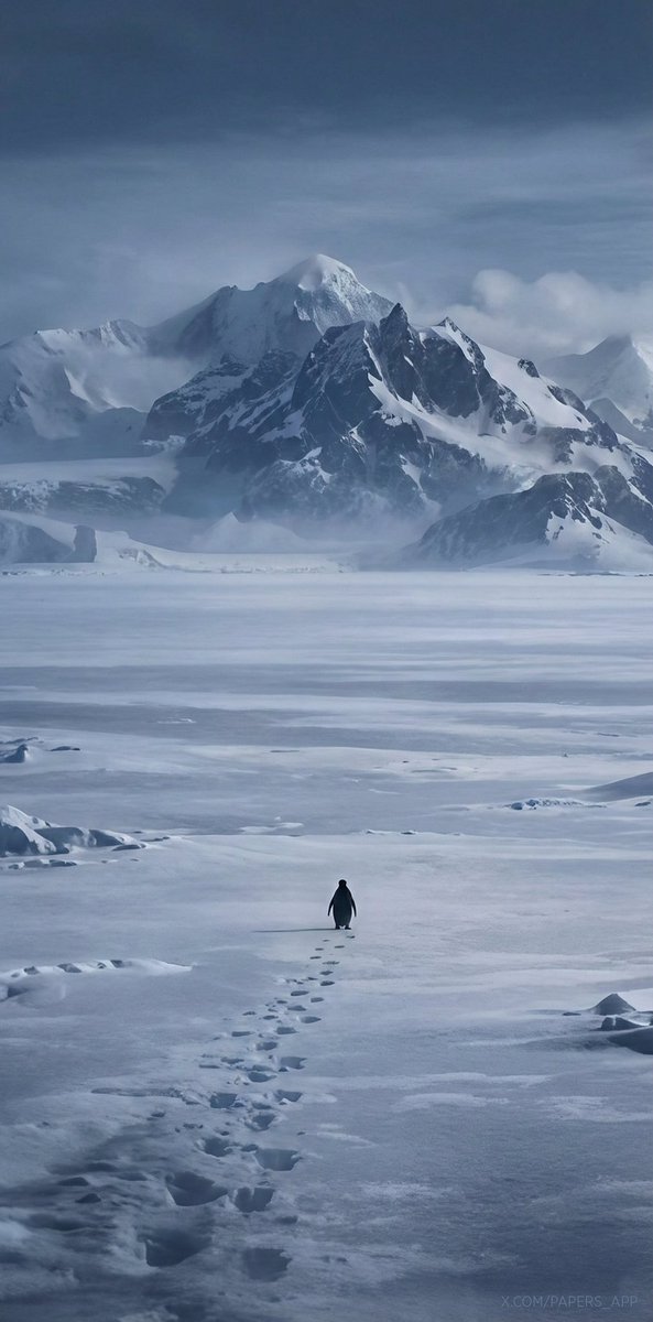 你我都应该听从内心自己，向目标前进，不要受外界干扰！<a href="/cz_binance/">CZ 🔶 BNB</a>