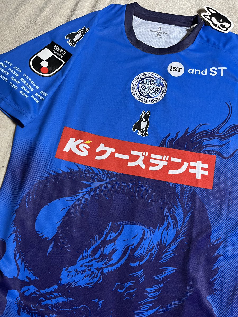 ホーリーホックのユニフォームが届きました。実はちゃんとユニを買った